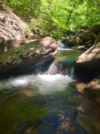 FullSizeRender-46 copy