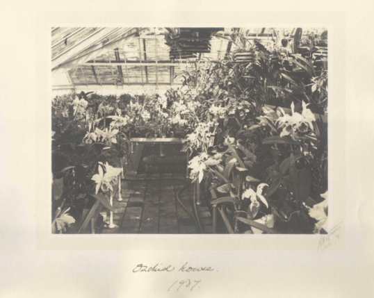 Screen Shot 2018-11-19 at 3.40.05 PM